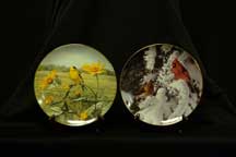 Collector bird plates