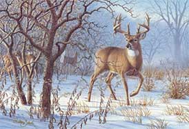 Art print sample — Larry Zach