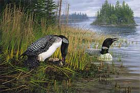 Art print sample — Michael Sieve
